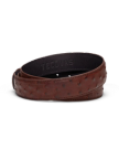 Back view of Men's Ostrich Belt II - Mahogany on plain background