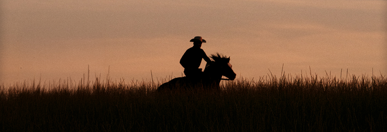 A silhouette of a person in a cowboy hat riding a horse through tall grass at sunset.