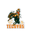 Front view of Buckin Bronco Sticker - Multi on plain background
