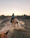 A woman rides a palomino horse on a dusty trail at sunset, with another horse's ears visible in the foreground.