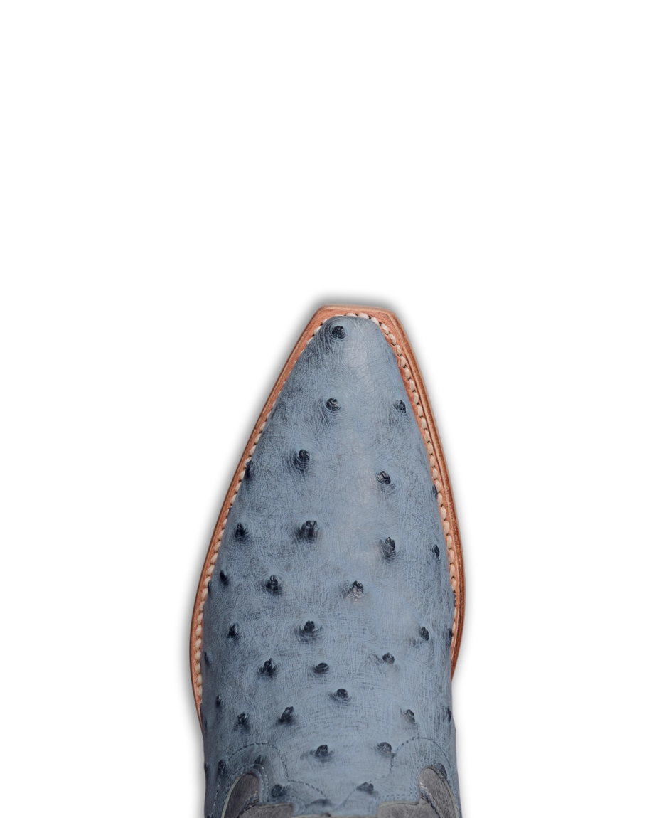 Toe view of The Annie - Chambray Ostrich on plain background