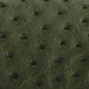 The product color Forest Green