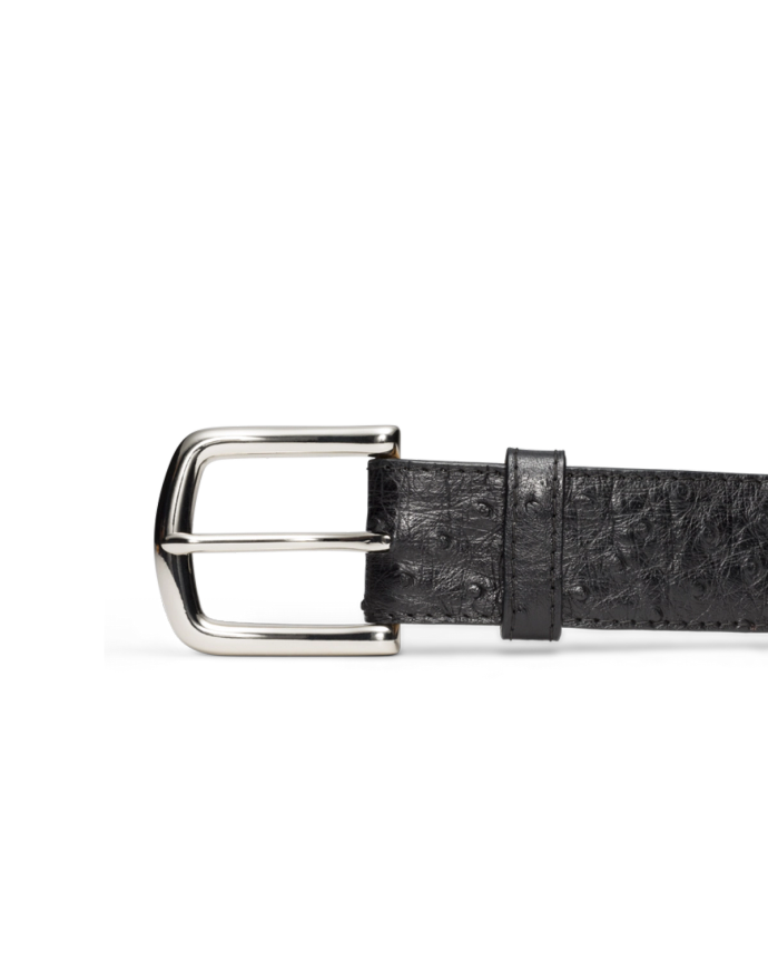 Front view of Men's Ostrich Belt II - Midnight on plain background