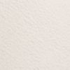 The product color Bone