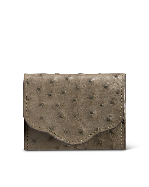 Front view of Ostrich Card Case - Dark Forest on plain background