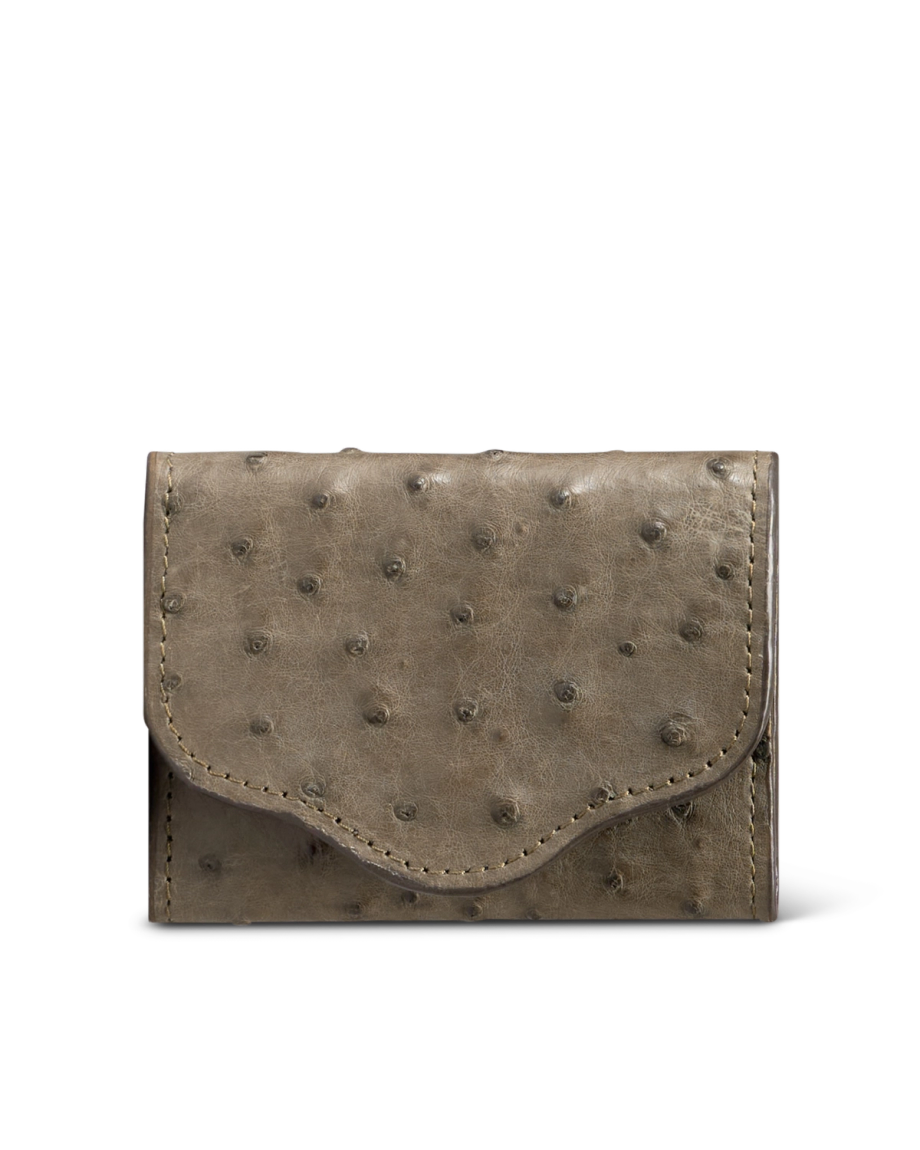 Front view of Ostrich Card Case - Dark Forest on plain background