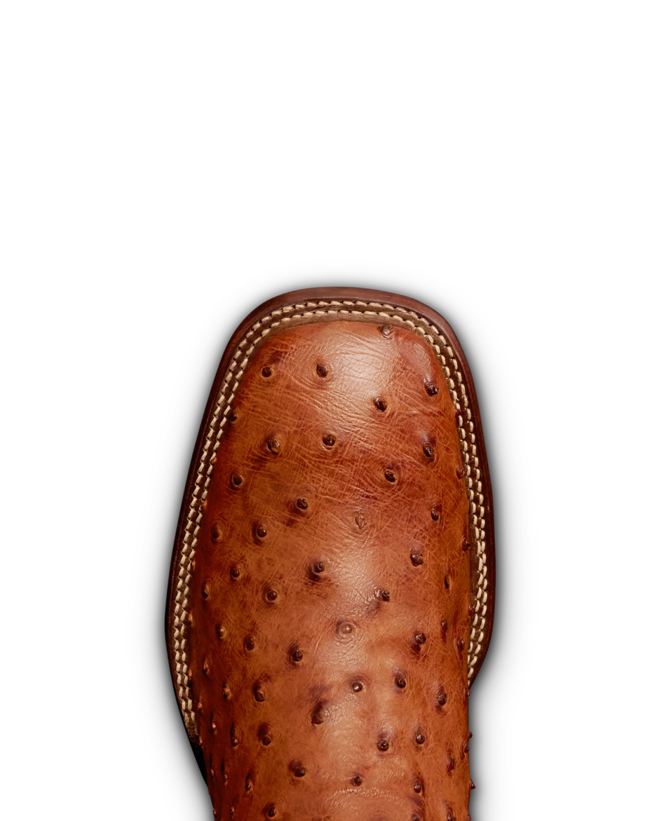 Toe view of The Emmitt II - Pecan Ostrich on plain background