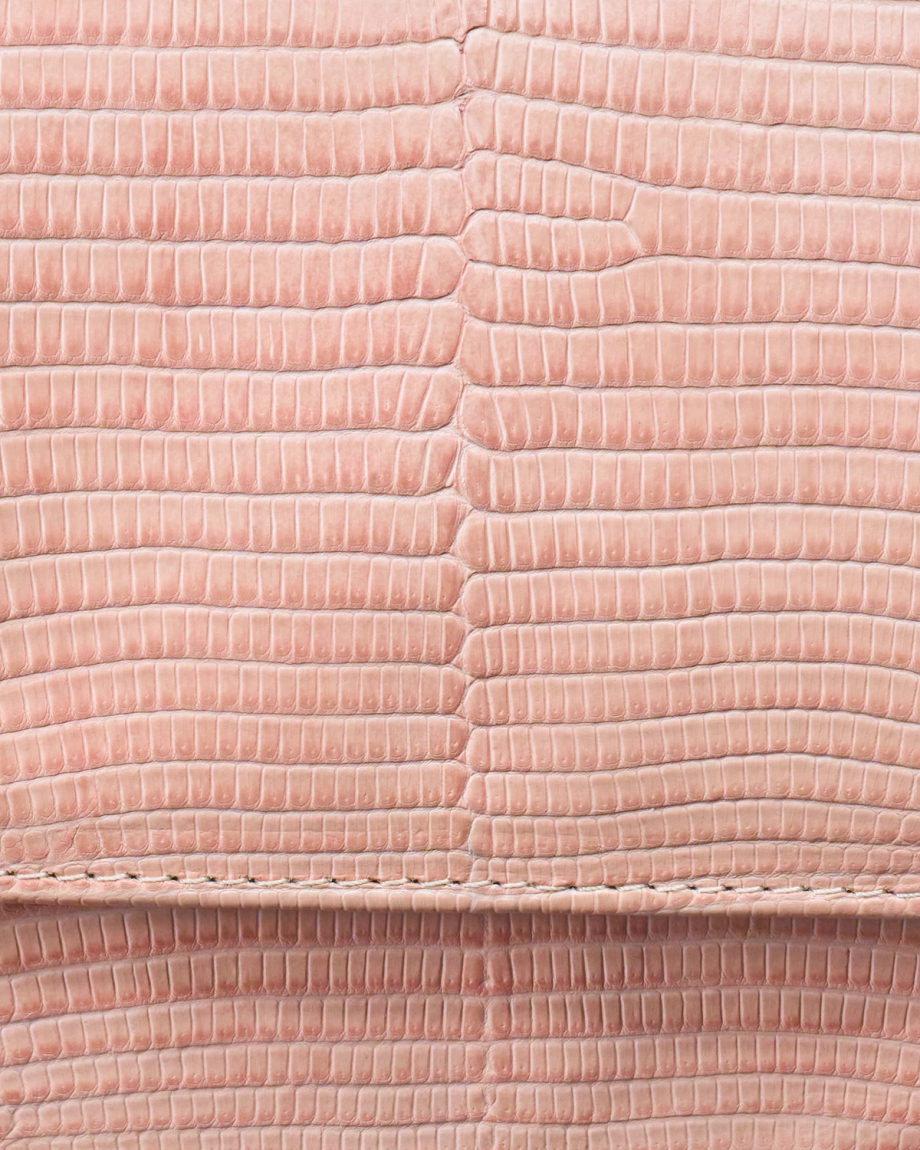 Close-up of a textured, light pink surface resembling reptile or lizard skin with a symmetrical, patterned appearance.