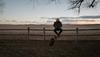 man on a fence with a dog