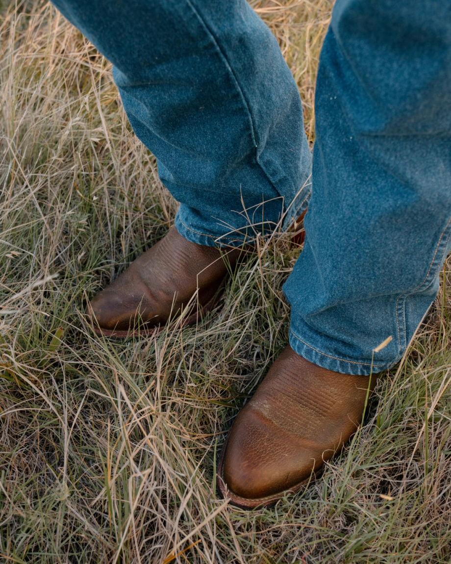 View of The Cartwright - Tobacco Regenerative Bison