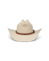 Back view of Hat Band - Scotch on plain background