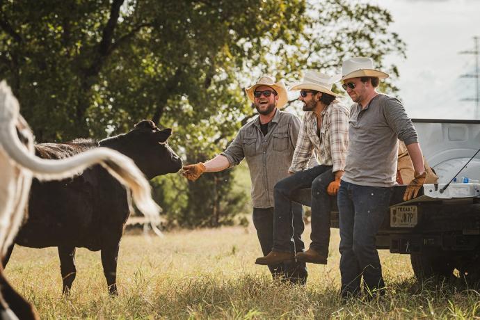 three men looking at and feeding a cow