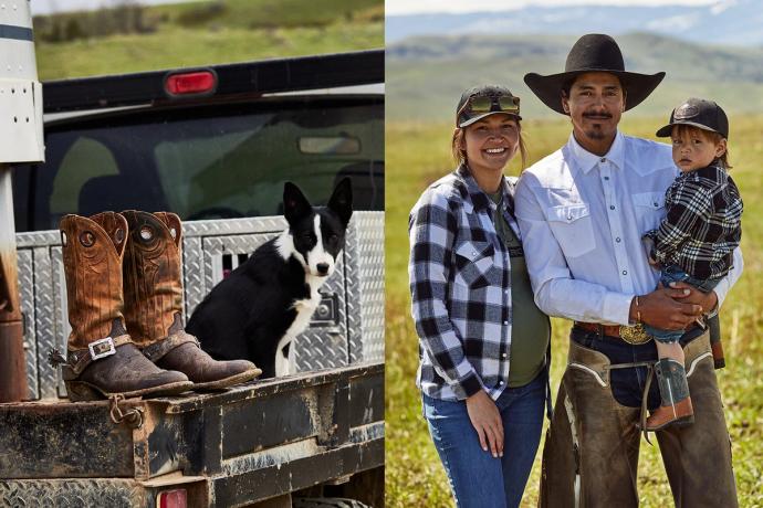 split screen dog & boots on a truck, family in a field