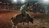man on a bull at a rodeo