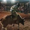 man on a bull at a rodeo