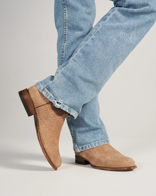 View of The Earl - Sandstone Carpincho