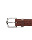 Front view of Men's Ostrich Belt II - Mahogany on plain background