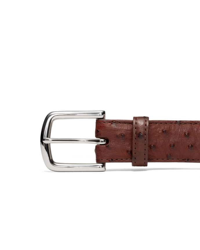 Front view of Men's Ostrich Belt II - Mahogany on plain background