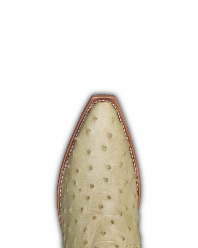 Top view of a pointed-toe cowboy boot made of beige ostrich leather with visible texture, against a black background.