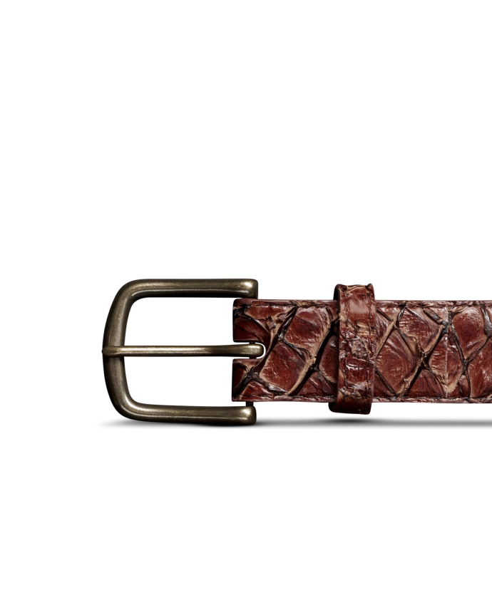 Front view of Men's Pirarucu Belt - Chocolate on plain background