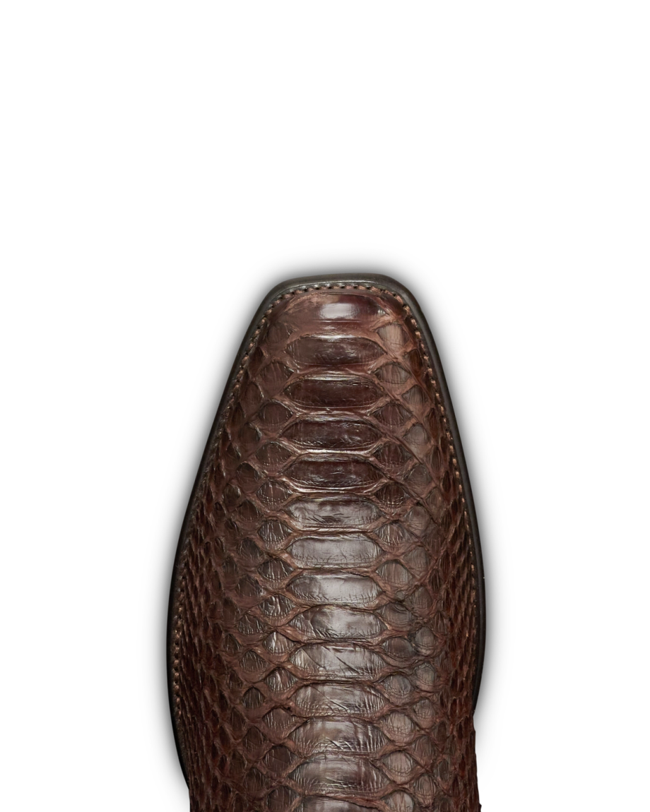 Toe view of The Jack - Chocolate Python on plain background