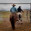 two cowboys on horses in a ranch