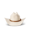 Back view of Hat Band - Tan on plain background