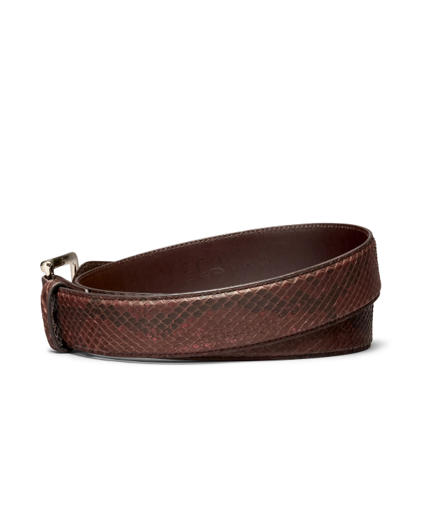 Back view of Men's Python Belt - Tobacco on plain background