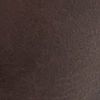 The product color Molasses