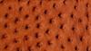 A close up picture of the Ostrich material