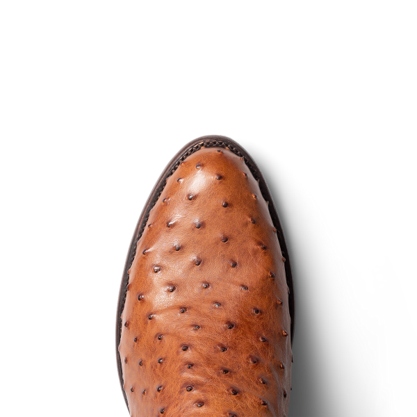 Toe view of The Dean - Pecan on plain background