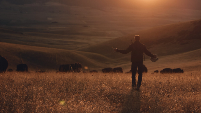 A person stands in a field at sunset, holding a hat and a walking stick, with cattle grazing in the background.