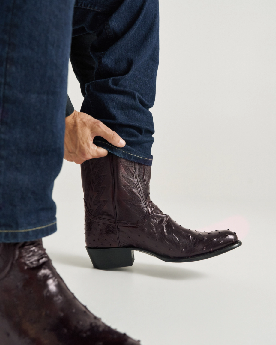 View of The Wyatt - Black Cherry Ostrich