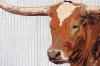 mural of a bull