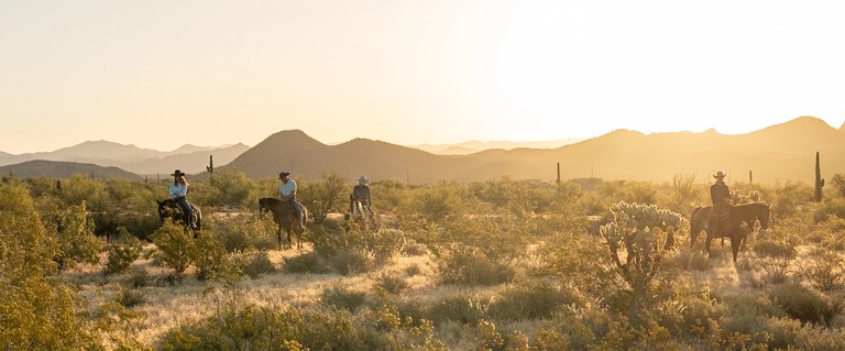 cowboy and cowgirls on horses in the desert landscape