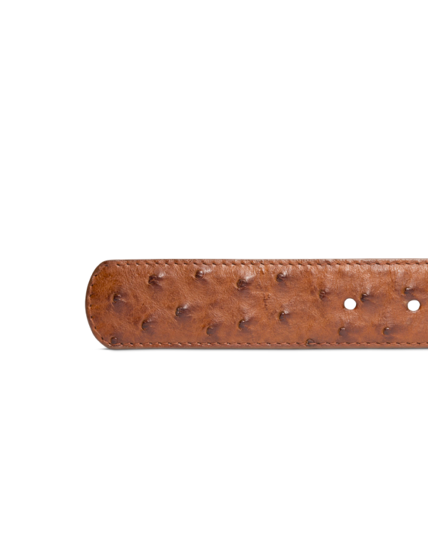 Closeup view of Men's Ostrich Belt II - Pecan