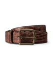 Front view of Men's Lizard Belt - Cask on plain background