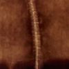 The product color Dark Pecan