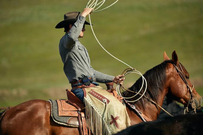 man riding a horse and using a lasso