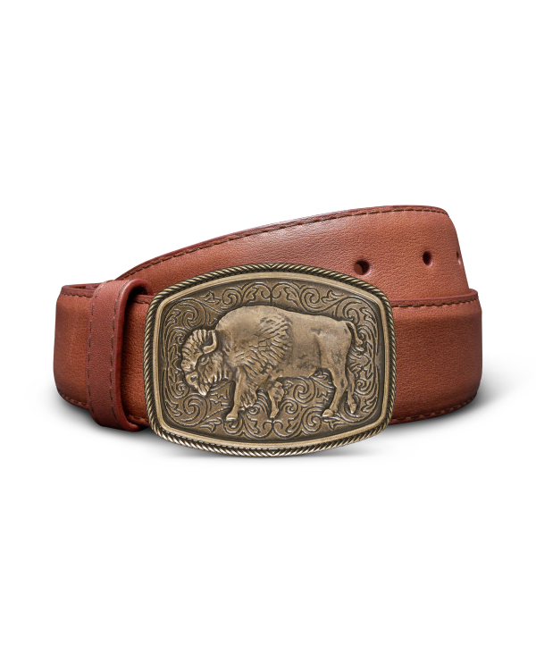 Front view of Bison Buckle - Antique Brass on plain background