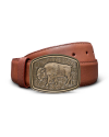 Front view of Bison Buckle - Antique Brass on plain background