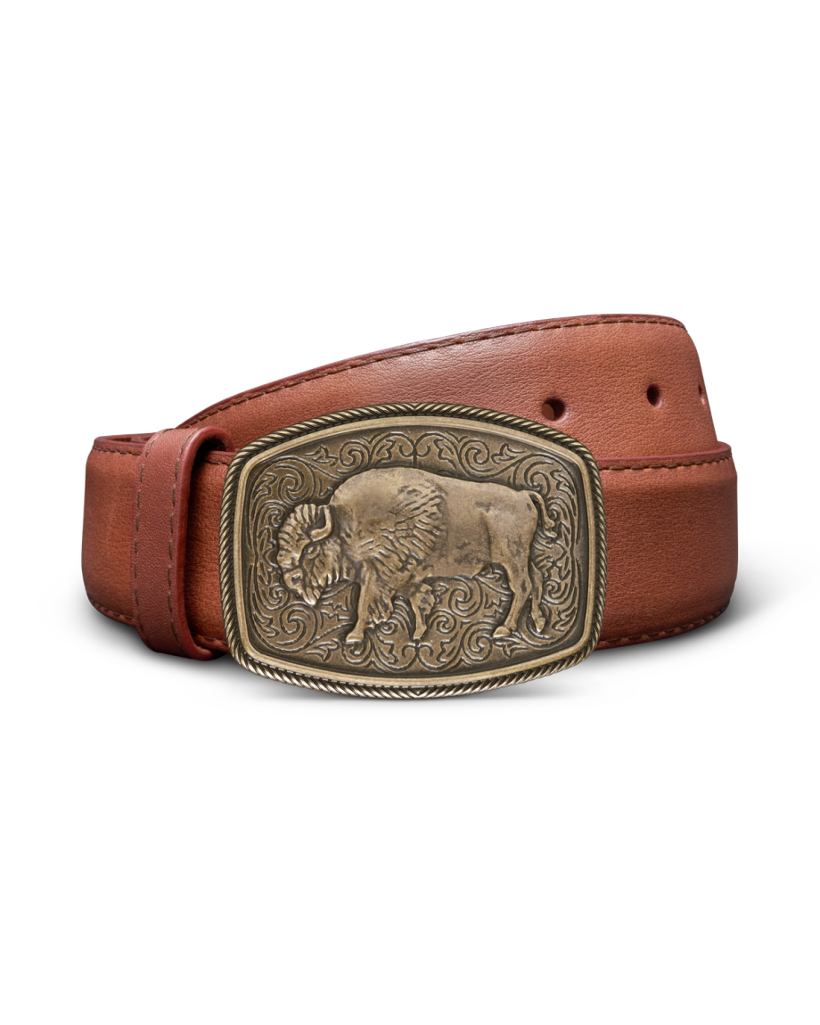 Front view of Bison Buckle - Antique Brass on plain background