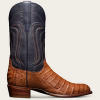 Image of an exotic roper boot