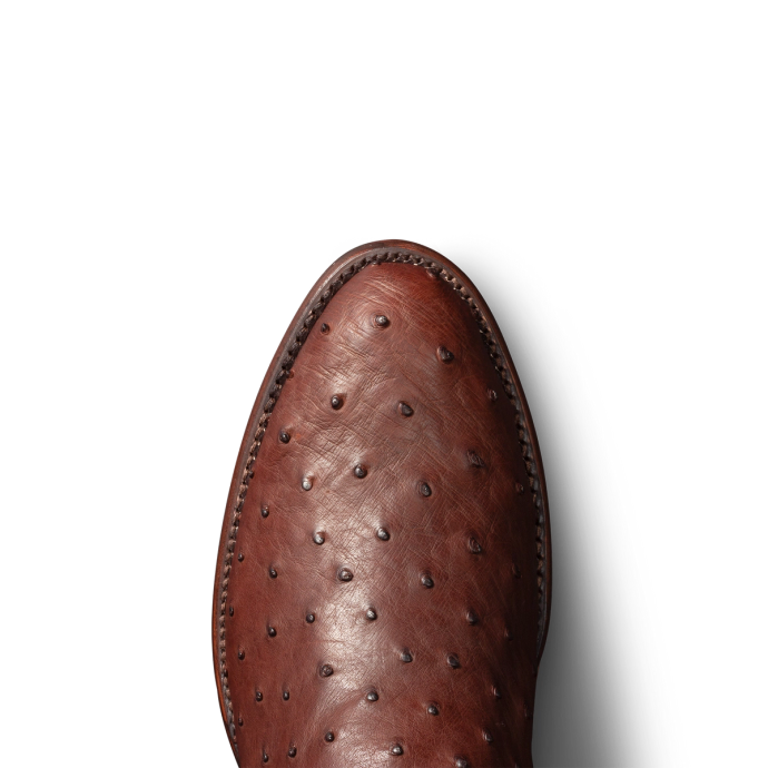 Toe view of The Duke - Mahogany on plain background