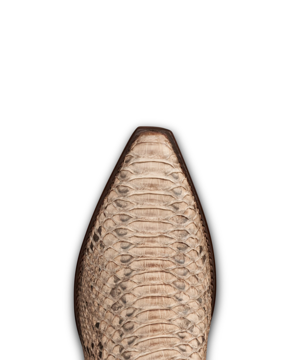 Toe view of The Garrett - Mangrove Invasive Python on plain background