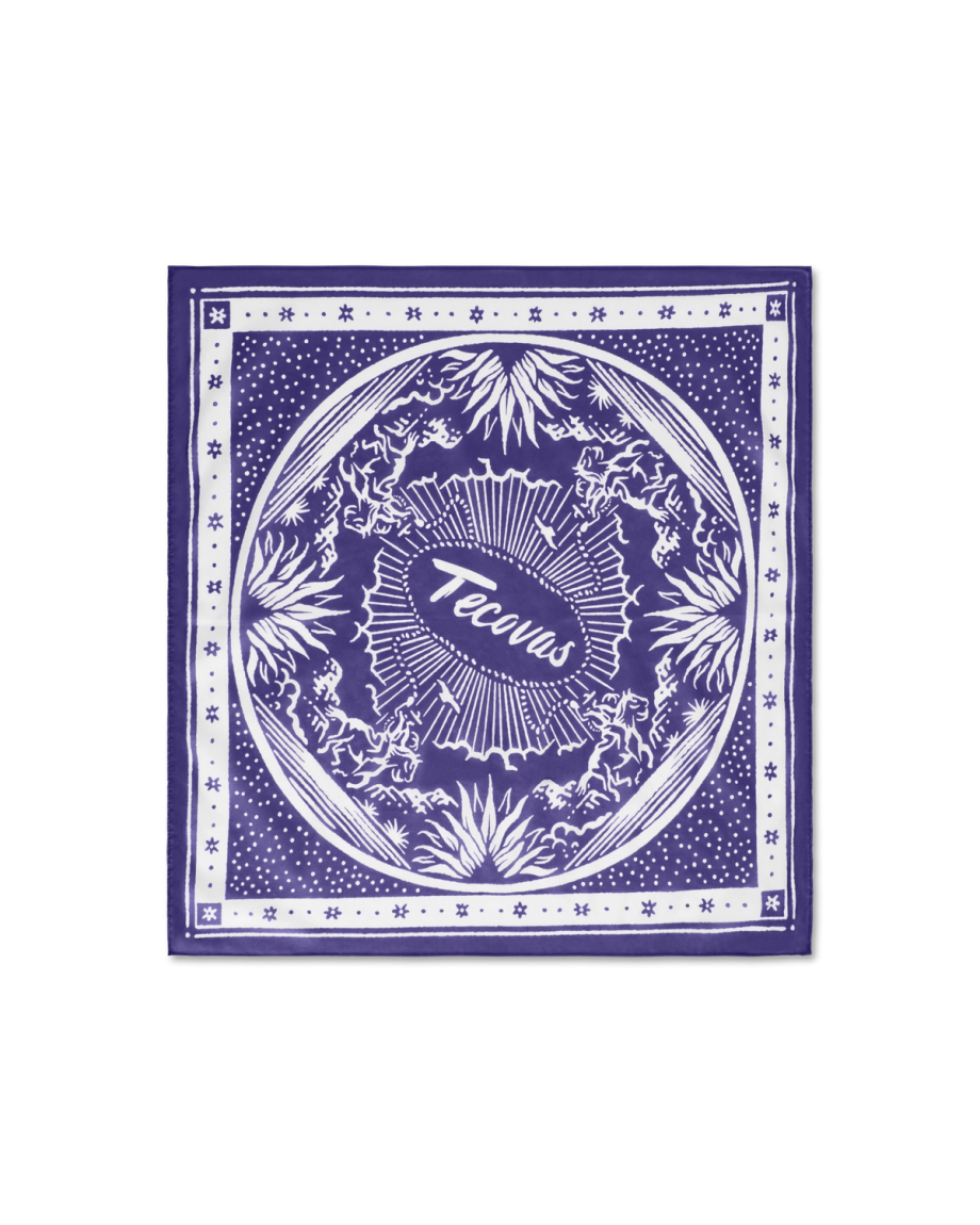Front view of Gameday Bandana - Purple on plain background