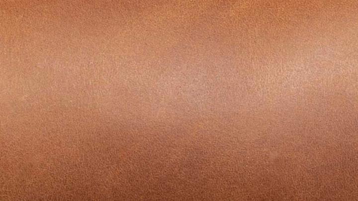 A close up picture of the Cowhide material