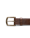 Front view of Men's Bison Belt II - Hickory on plain background