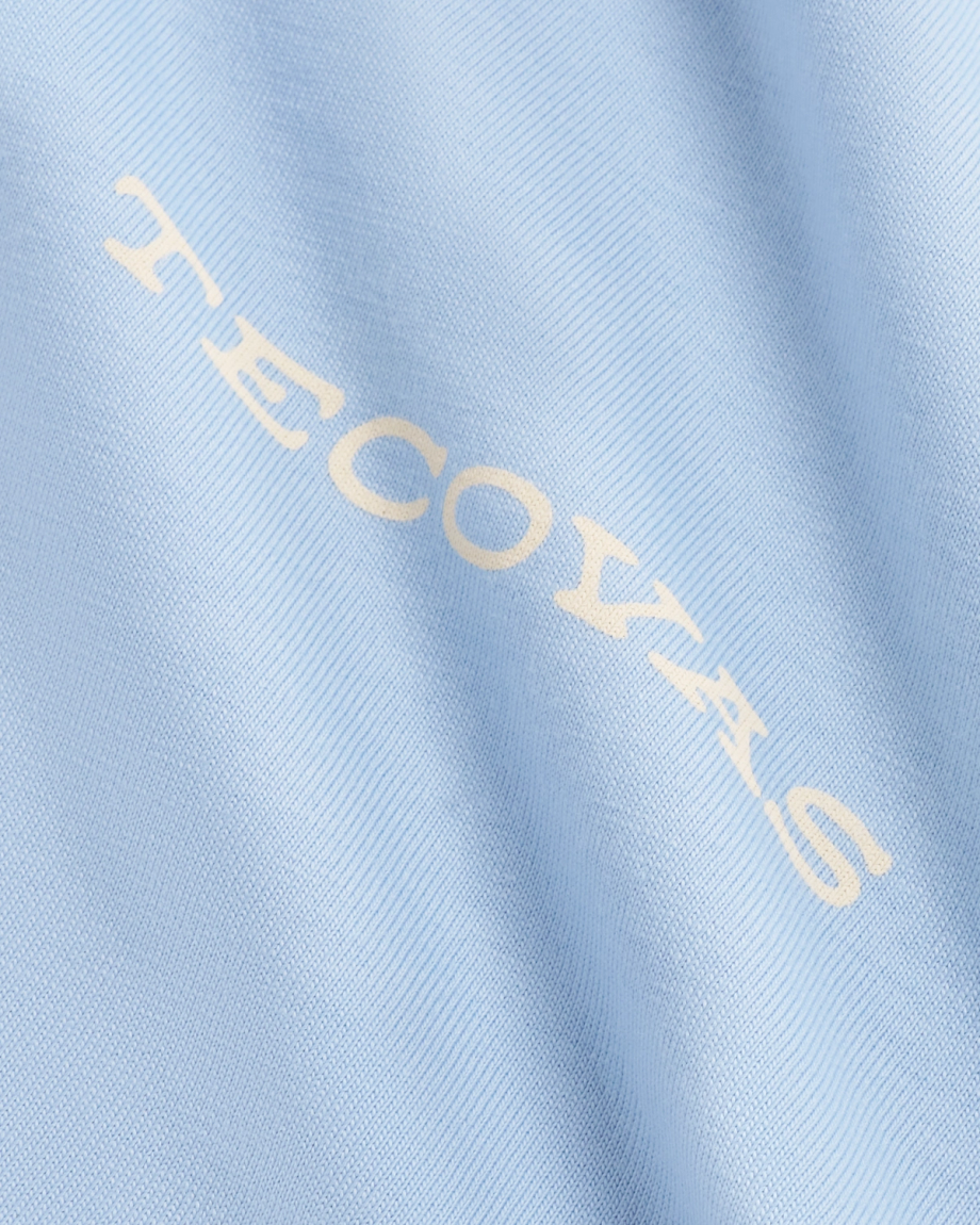 Closeup detail view of Men's Roadrunner T-Shirt - Chambray/Bone