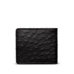 Back view of Ostrich Billfold - Midnight on plain background